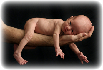 Minnesota Milestones 2010 Low Birth Weight